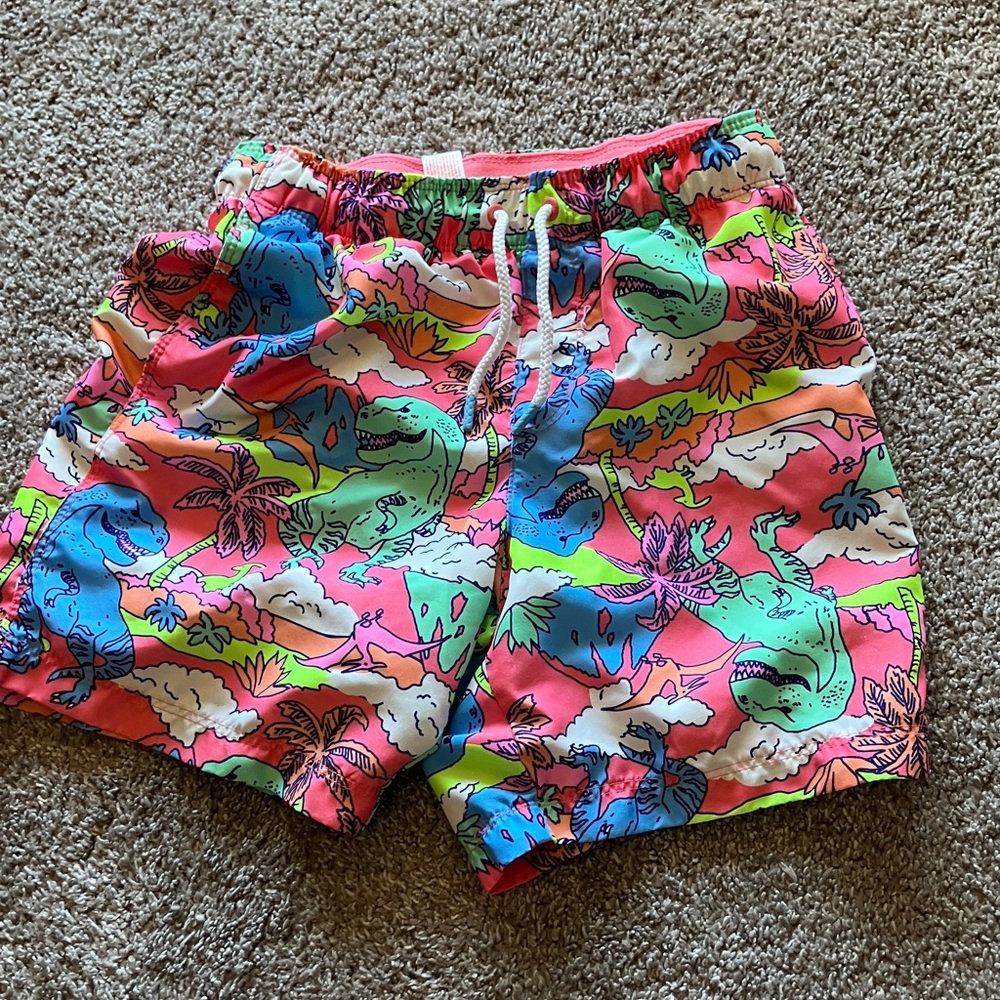 Vibrant Dinosaur Print Men's Shorts